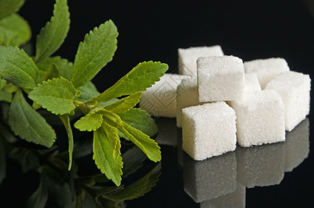 甜菊糖对糖的草药支持甜菊糖的支持图片