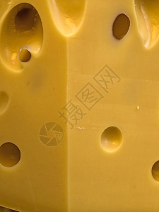 奶酪上的洞图片