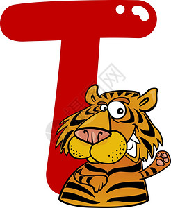 老虎t字母的漫画插图图片