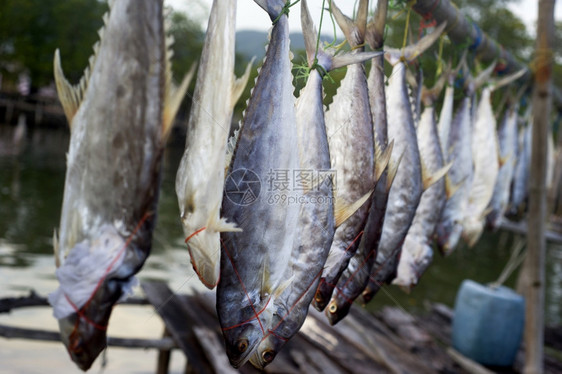 在一个泰国渔民村出售干鱼图片