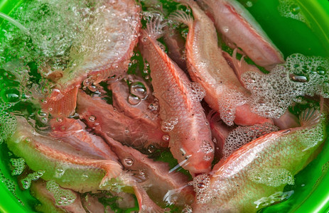 供在Benoh市场出售的鲜鱼图片