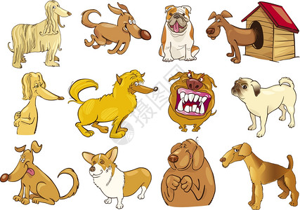 漫画插图有趣的不同狗图片
