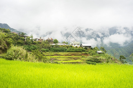 大米梯田和克里耶拉山脉的村庄菲利平图片