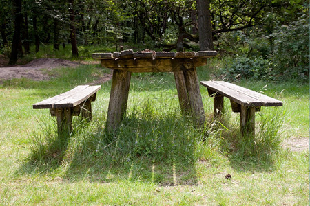 森林中的木桌椅图片