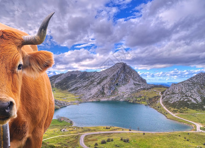 在西班牙的asturi湖的covdng湖中图片