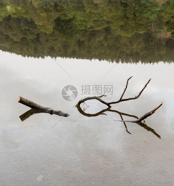 湖区同流水静中的支反射图片