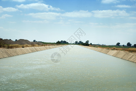 灌溉植物的运河图片