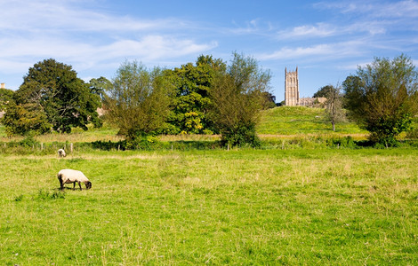 圣James教堂在草地对面与绵羊一起在古老的Cotswld镇花椰子野营图片