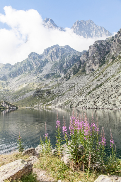 通向蒙维索山顶的公路附近阿尔卑斯山湖蒙维索是阿尔卑斯风景最优美的峰之一图片