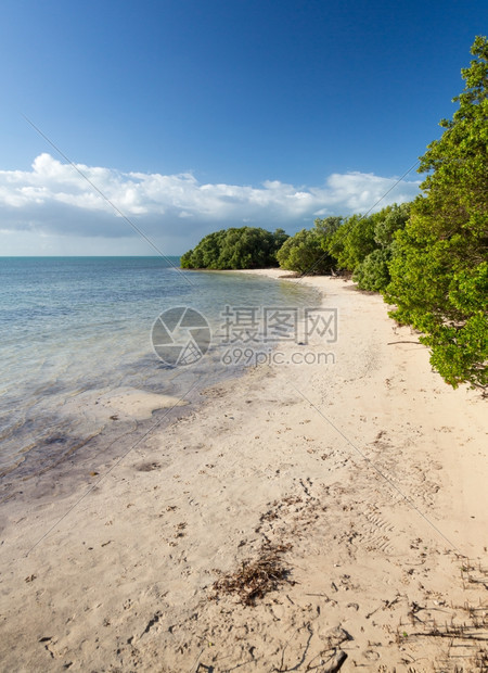 ane在flrida路边的海滩在外公路1号上的florida钥匙路边图片