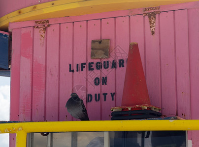 海鸥或坐落在迈阿密海滩粉红色救生站的栏杆上图片