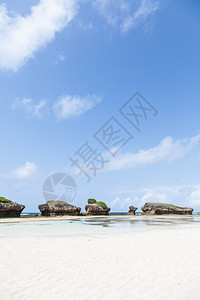 瓦塔穆靠近麦林迪肯雅该地区最美的海滩复制空间图片