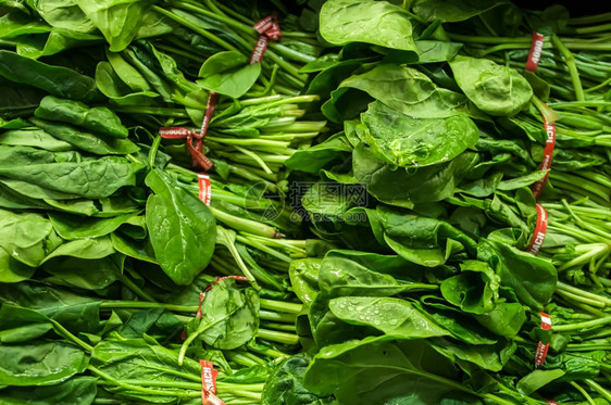 显示的新鲜绿色叶子菠菜图片