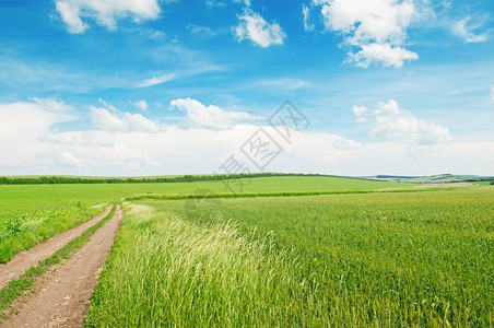 蓝天空下的乡村公路图片