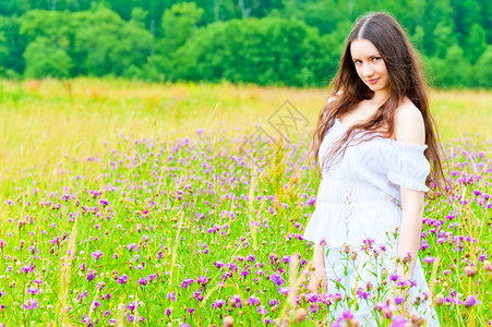 矢车菊花海里的美少女图片