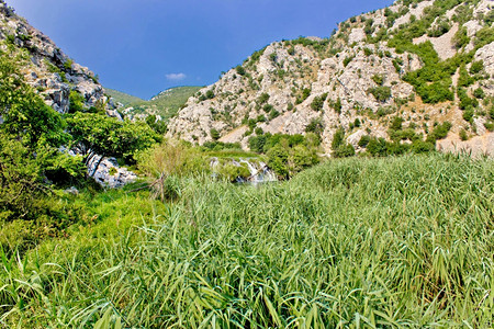 库鲁帕河峡谷绿色自然和瀑布达马提亚河croati河图片