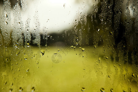 由湿风挡玻璃雨滴和绿白背景构成的图片