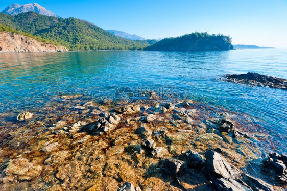 美丽的海景湾和绿山图片