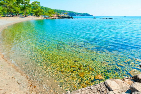 美丽的小湾有绿海水图片