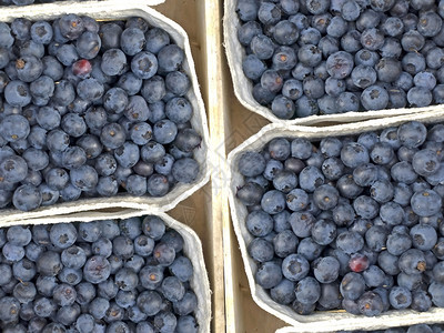 街头销售的蓝莓背景图片