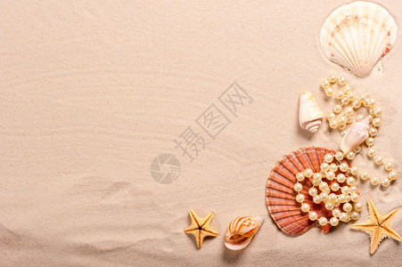 沙中的珍珠和贝壳图片