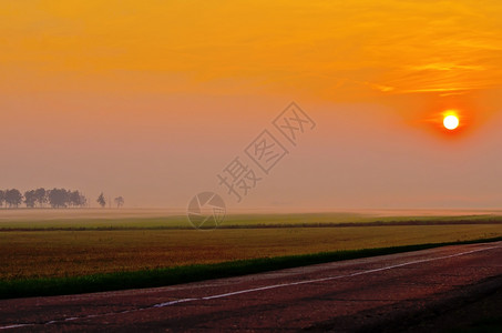 太阳橙色天空田地雾中树的轮影黎明时高速公路图片