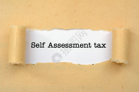 自我评估税图片