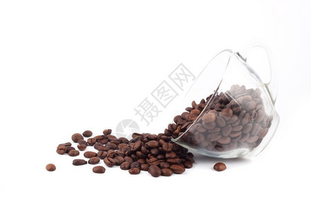 a咖啡杯在白色背景上分离种子图片
