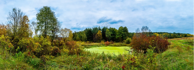 秋天的风景公园明亮颜色在湖边的公园里图片