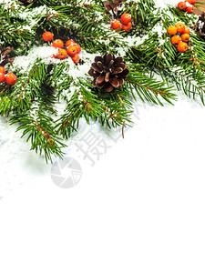 圣诞节背景白雪甜果和霍利白莓图片