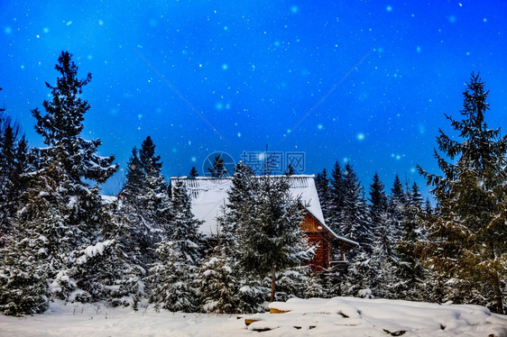 冬季雪覆盖了山边的圣诞树冬天山屋图片