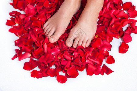 女人的美丽身体和腿与花朵的红玫瑰与花朵对立图片