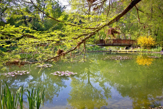 植物园里的风景图片