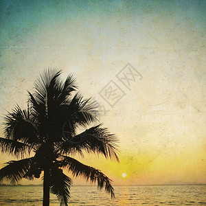 椰子树底浅色和日出陈年背景图片