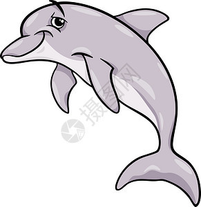 海豚漫画图片