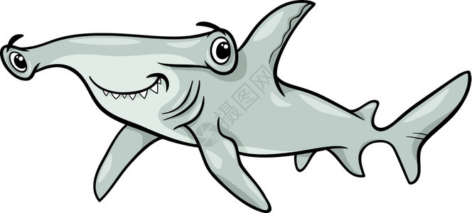 锤头鲨漫画图片