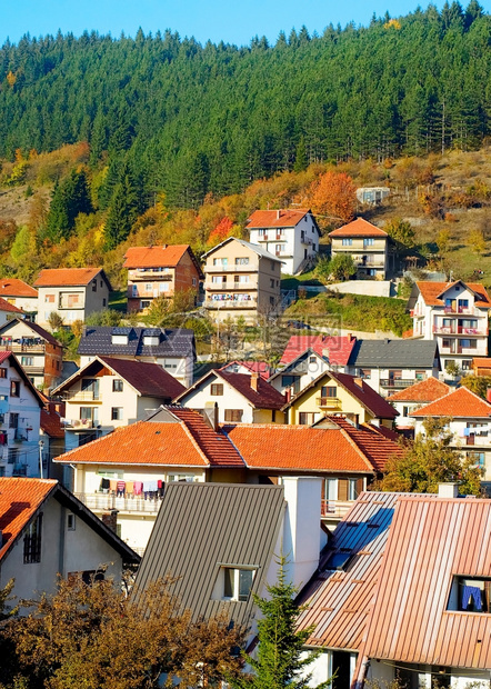 阳光明日的塞尔维亚山村风景图片