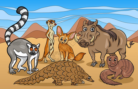 有趣的非洲哺乳动物图片