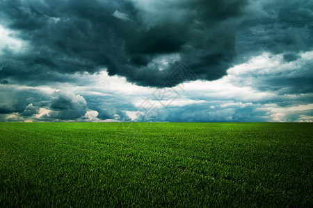 暴风在草地上飘扬图片