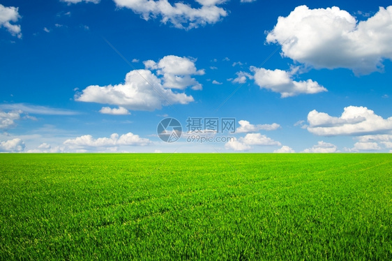 春草和美丽的天空图片