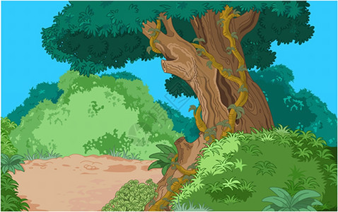卡通热带森林植被背景图片