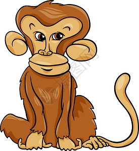 可爱猴子灵长类动物背景图片