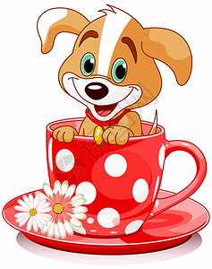 狗坐在茶杯里高清图片