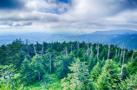 宽阔地观望着从粘附者顶端的大片烟雾山圆顶图片