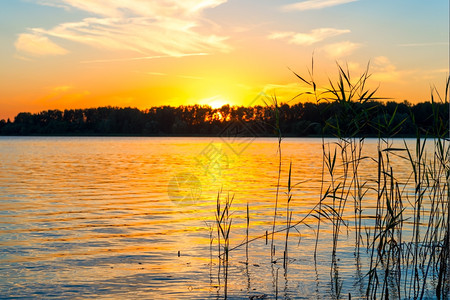 美丽的日落太阳在湖上下图片