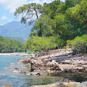 海湾山峰和光滑的海岸图片