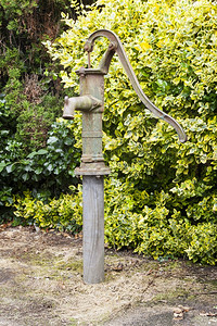 在树篱旁的花园里用旧式铁水泵图片