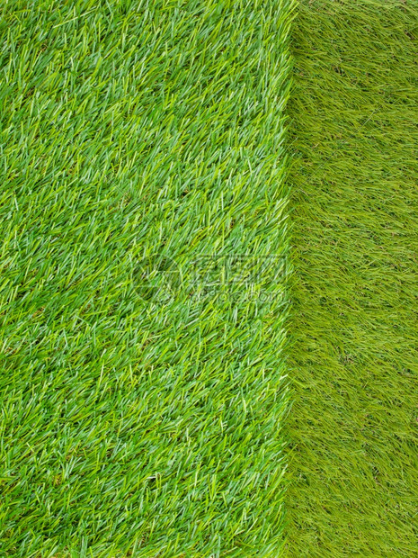 人工草地日本绿色