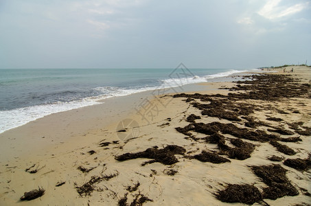 北卡罗莱纳州海群岛上的海岸a图片