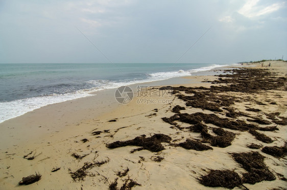 北卡罗莱纳州海群岛上的海岸a图片